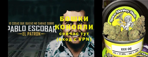 спиды Арсеньев