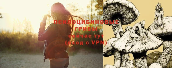 бошки Аркадак