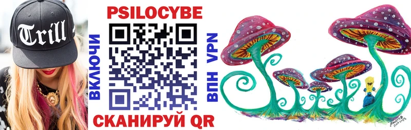 Галлюциногенные грибы Psilocybe  Бронницы 